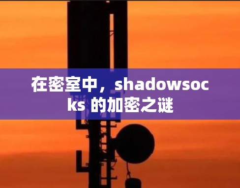 在密室中，shadowsocks 的加密之谜