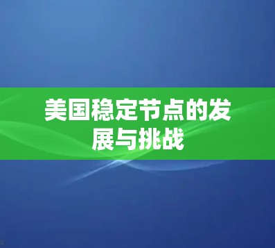 美国稳定节点的发展与挑战