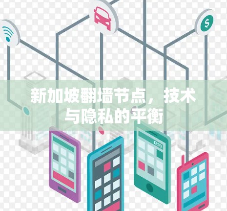 新加坡翻墙节点,技术与隐私的平衡 新加坡翻墙节点,技术与隐私的平衡