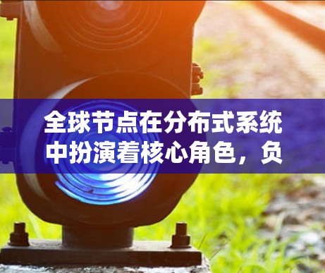 全球节点在分布式系统中扮演着核心角色，负责整个网络的管理与协调。以下是其具体作用