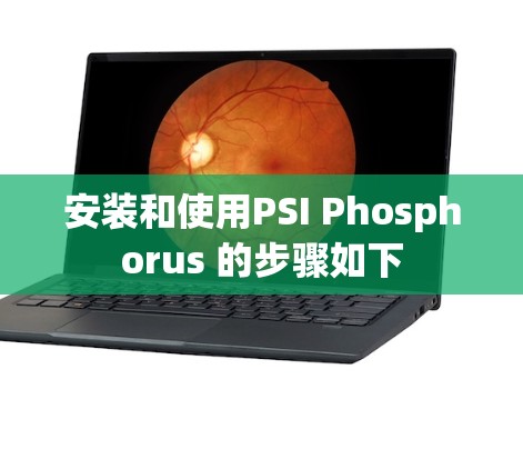 安装和使用PSI Phosphorus 的步骤如下