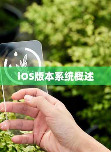 iOS版本系统概述