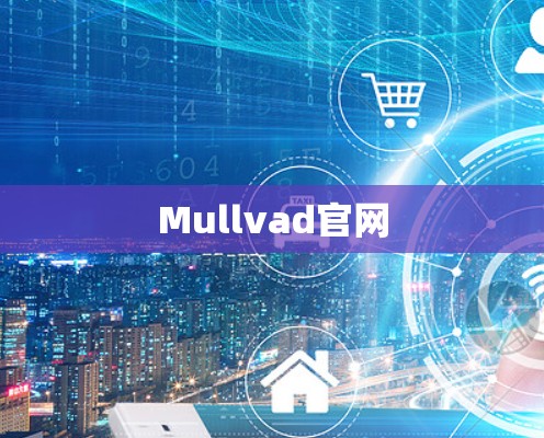 Mullvad官网