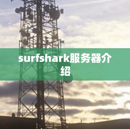 surfshark服务器介绍
