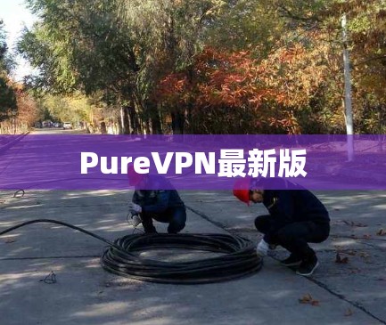 PureVPN最新版