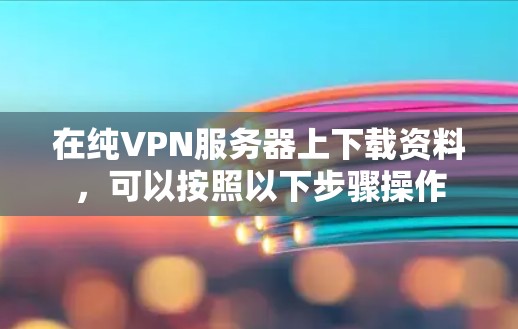 在纯VPN服务器上下载资料，可以按照以下步骤操作