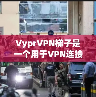 VyprVPN梯子是一个用于VPN连接的工具，其结构和功能可以分为以下几个部分