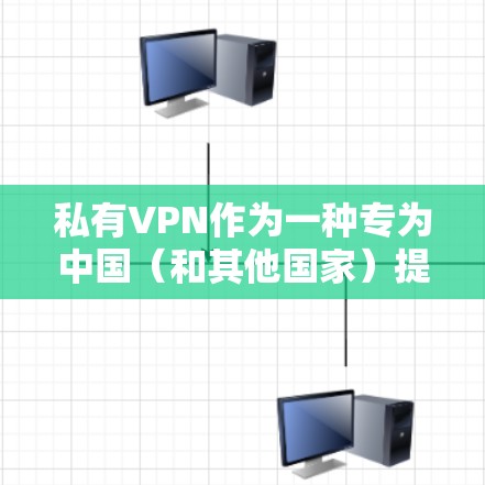 私有VPN作为一种专为中国（和其他国家）提供服务的公司，提供灵活的设置和多样化的解决方案。以下是一些详细的推荐和建议，帮助你选择适合自己的私有VPN