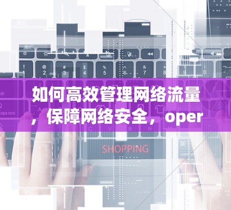 如何高效管理网络流量，保障网络安全，opera VPN VPN代理的重要性