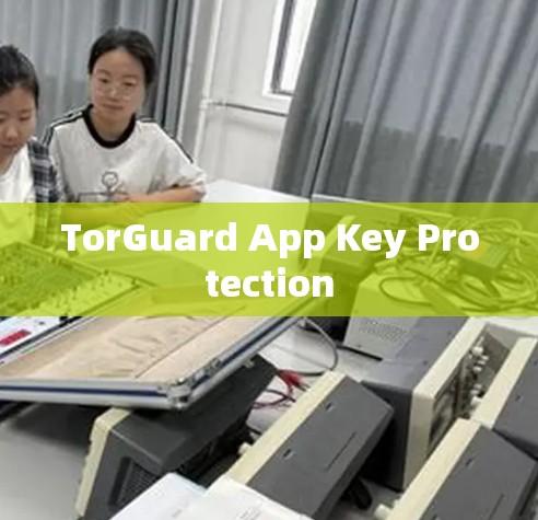 TorGuard App Key Protection