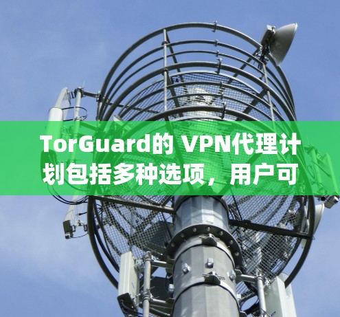 TorGuard的 VPN代理计划包括多种选项，用户可以根据自己的需求选择适合的方案。例如，用户可以选择Basic、Pro或Enterprise等级包，每个等级都有不同的价格和功能限制