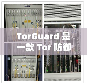 TorGuard 是一款 Tor 防御方案，旨在保护 Tor 网站的安全性。如果您有 TorGuard 应用或服务，以下是一些常见的问题及建议