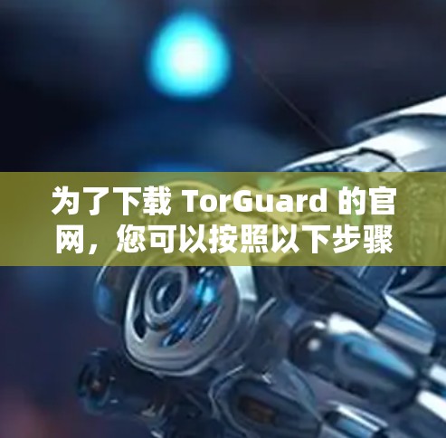 为了下载 TorGuard 的官网，您可以按照以下步骤操作