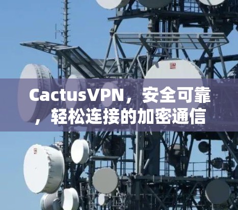 CactusVPN，安全可靠，轻松连接的加密通信选择
