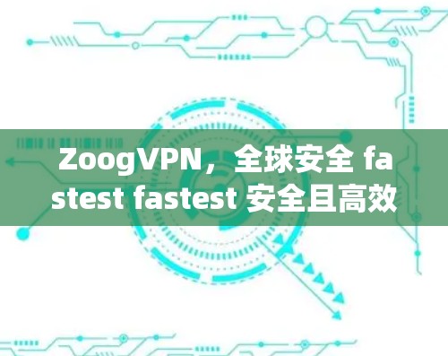 ZoogVPN，全球安全 fastest fastest 安全且高效的VPN服务