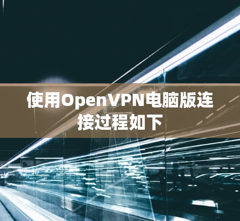 使用OpenVPN电脑版连接过程如下