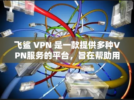 飞鲨 VPN 是一款提供多种VPN服务的平台，旨在帮助用户远程访问网络资源。以下是对飞鲨 VPN 的详细评价