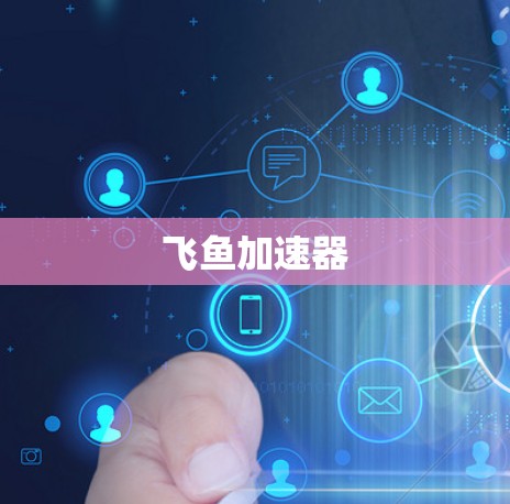 飞鱼加速器