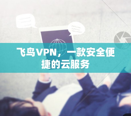 飞鸟VPN，一款安全便捷的云服务