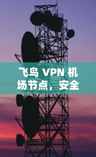 飞鸟 VPN 机场节点，安全出行的智慧选择