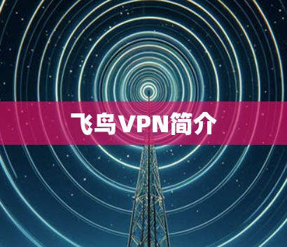飞鸟VPN简介