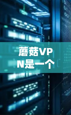 蘑菇VPN是一个安全且免费的网络VPN服务，适合那些不想支付流量却需要访问互联网用户。以下是一个详细的使用教程，帮助您逐步了解和使用蘑菇VPN