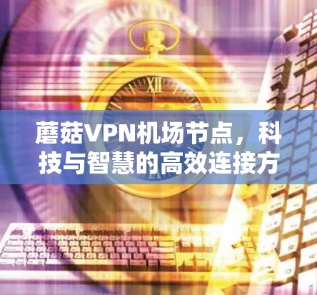蘑菇VPN机场节点，科技与智慧的高效连接方案