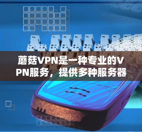 蘑菇VPN是一种专业的VPN服务，提供多种服务器类型和安全措施，适合需要高安全性和灵活配置的用户。以下是对蘑菇VPN的详细总结