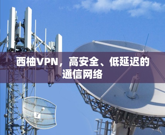 西柚VPN，高安全、低延迟的通信网络