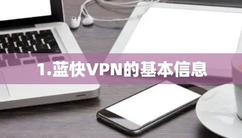1.蓝快VPN的基本信息