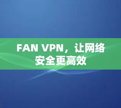 FAN VPN，让网络安全更高效
