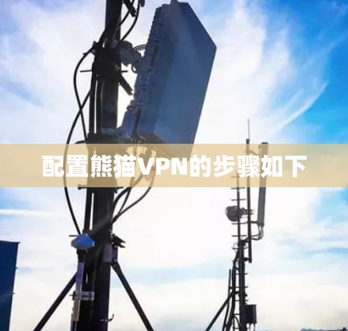 配置熊猫VPN的步骤如下