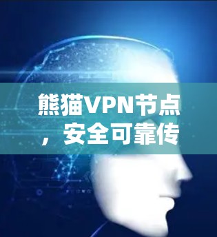 熊猫VPN节点，安全可靠传输技术的创新与应用