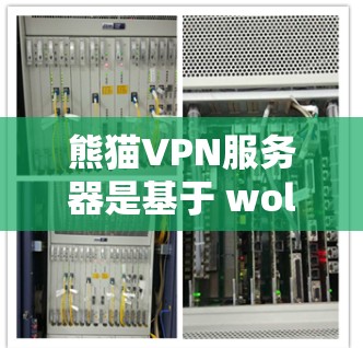 熊猫VPN服务器是基于 wolfish 技术的开源VPN服务，用户可以使用其进行网络连接。虽然熊猫VPN功能强大，但在安全性和稳定性方面可能存在一些问题，具体如下