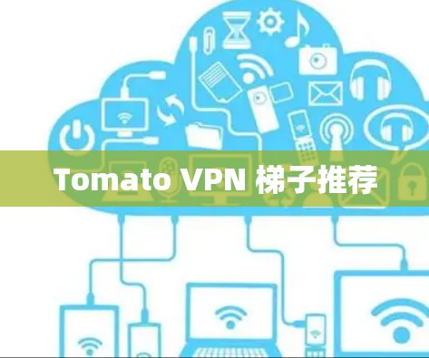 Tomato VPN 梯子推荐
