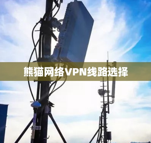熊猫网络VPN线路选择