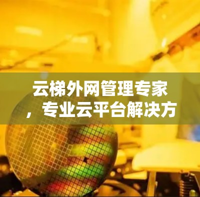 云梯外网管理专家，专业云平台解决方案