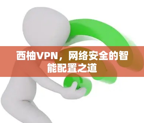 西柚VPN，网络安全的智能配置之道