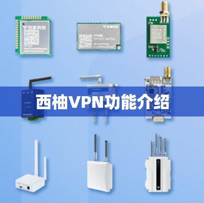 西柚VPN功能介绍
