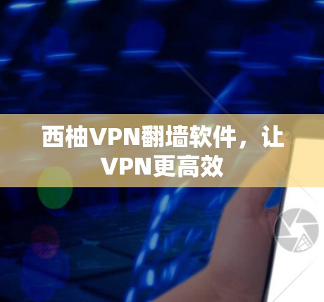 西柚VPN翻墙软件，让VPN更高效