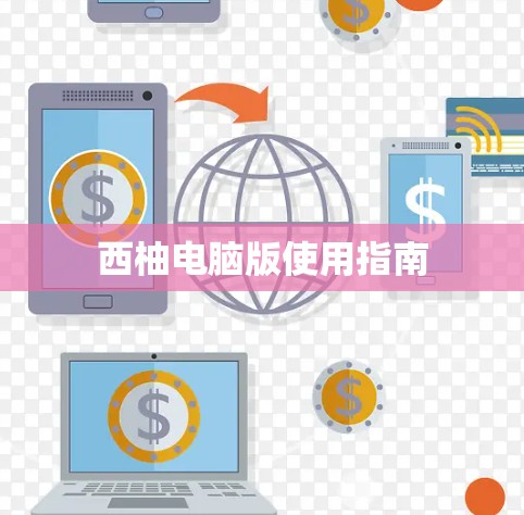 西柚电脑版使用指南