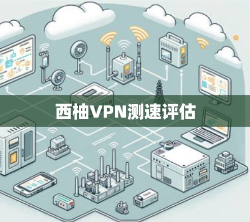 西柚VPN测速评估
