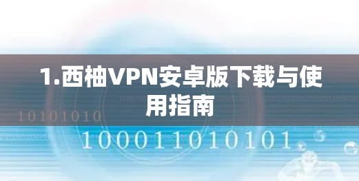 1.西柚VPN安卓版下载与使用指南