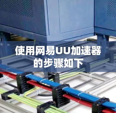 使用网易UU加速器的步骤如下