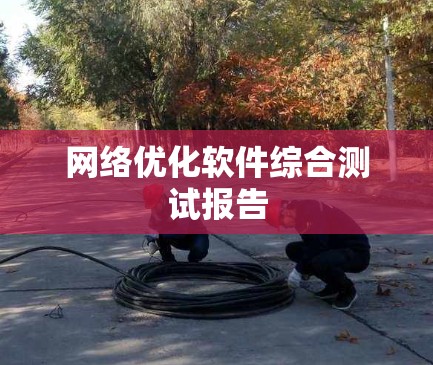网络优化软件综合测试报告