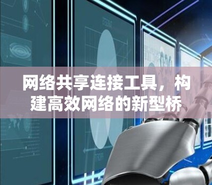 网络共享连接工具，构建高效网络的新型桥梁