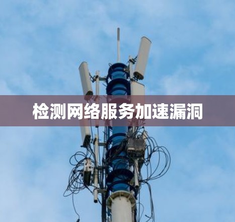 检测网络服务加速漏洞