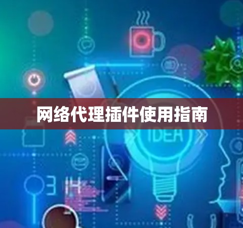 网络代理插件使用指南