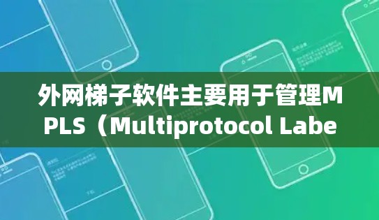 外网梯子软件主要用于管理MPLS（Multiprotocol Label Switching）网络，支持多台计算机共享数据。以下是关于外网梯子软件的详细信息