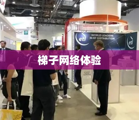 梯子网络体验